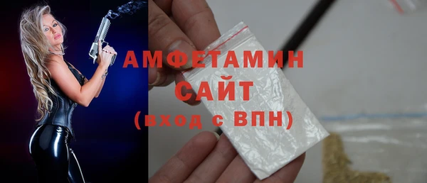 ГАЛЛЮЦИНОГЕННЫЕ ГРИБЫ Бородино