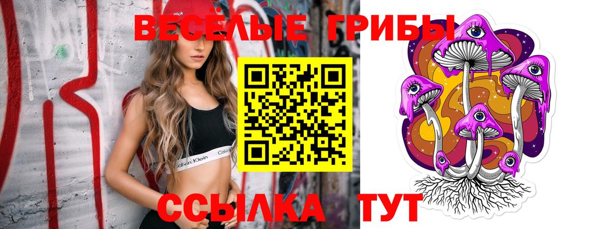 ГАШИШ  Меф  НБОМе  Новозыбков  Мефедрон кристаллы  Вход с VPN  Cocaine  Каннабис 