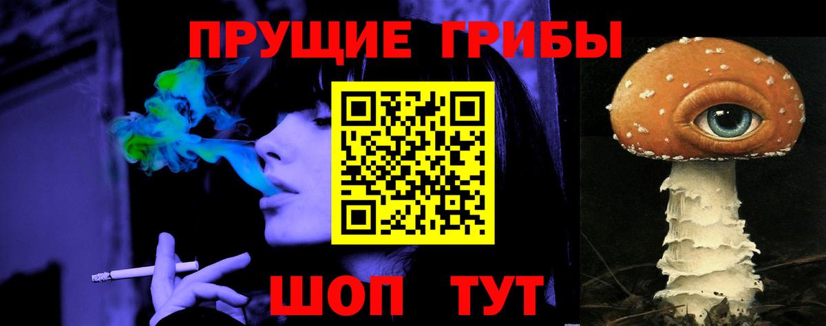Новозыбков  Галлюциногенные грибы Psilocybine cubensis  Вход с VPN 