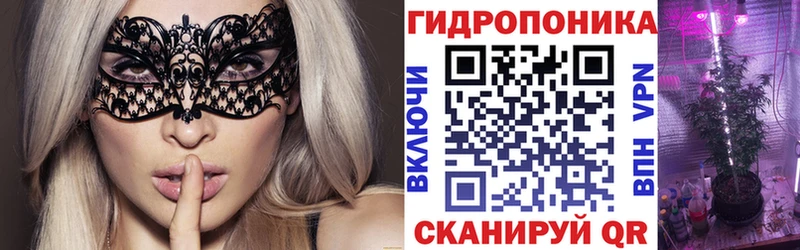 мега ссылки  Новозыбков  Конопля семена  даркнет сайт 