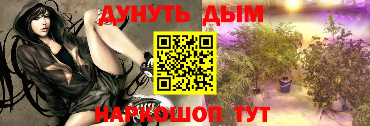МАРИХУАНА White Widow  Бошки Шишки планчик  МАРИХУАНА AK-47  Новозыбков  Вход с VPN 